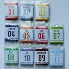うたプリ 缶バッジ プリライ 6th 物販 特典 スタリ カルナイ セット