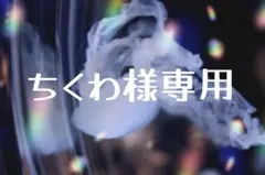 ちくわ様専用