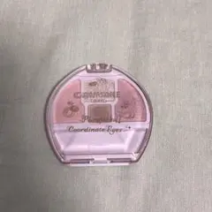 CANMAKE キャンメイク プランぷくコーデアイズ 05