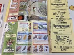 2025年 SAPIX 小学4年 春期講習 Spring Sapix