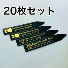 2026年最新】プランツタグ アガベの人気アイテム - メルカリ