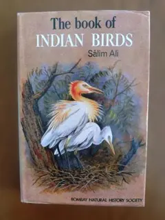 Q's B様 リクエスト 3点 まとめ商品