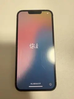 香港版・シャッター音なし】iPhone 13 Pro 256GB - メルカリ