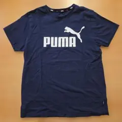 PUMA チャンピオン ネイビー半袖Tシャツ 160cm 2枚セット