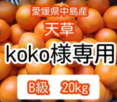 koko様専用出品 天草20kgB