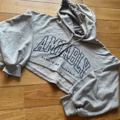 Lovetoxic AMIABLE クロップドパーカー S