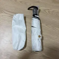 Item thumbnail for item 4c44a92e-b32e-470f-9545-f7e10adfad57