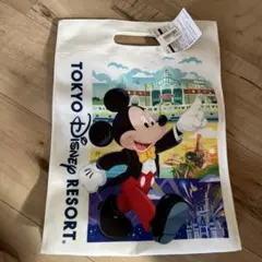東京ディズニーリゾート ミッキーマウス バッグ