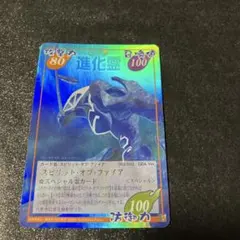 シャーマンキング 進化霊 スピリットオブファイア prize3 ver. - メルカリ