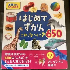 はじめてずかん これ、な～に?650 写真で言葉がぐんぐんわかる! 英語つきの…