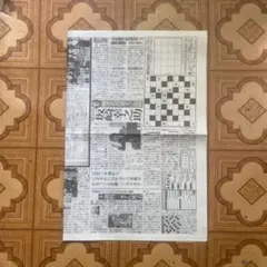アルフィー　新聞記事欄のサムネイル