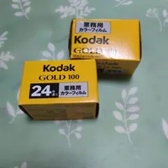 Kodak GOLD 100 35mm フィルム 24枚撮り 2個セット