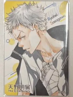 天野明展 マグネットステッカー 家庭教師ヒットマンREBORN 山本武 山本 天野明展 家庭教師ヒットマンREBORN マグネットステッカー 獄寺 山本