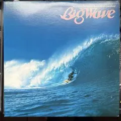 2026年最新】レコード山下達郎 Big Waveの人気アイテム - メルカリ