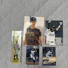 Item thumbnail for item f1a5220a-8355-45c2-9766-a977e1310810