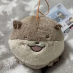 Item thumbnail for item 12be9947-1bb7-4578-8b99-42099667d353