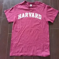 GILDAN HARVARD カレッジロゴ Tシャツ バーガンディ