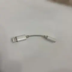 【Apple純正品】イヤホン 変換アダプタ ライトニング Lightning