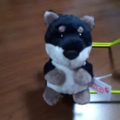 Item thumbnail for item e8dd7b69-2a8b-49d2-bc79-84e10b156c14