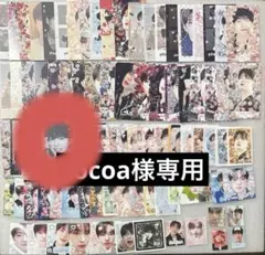 cocoa様専用 ALD1 ドムソン　ゴヌのみ40枚