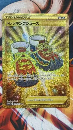 トレッキングシューズ UR S10D タイムゲイザー 087/067