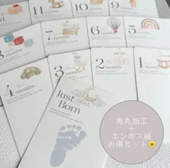 《大人気♡》水彩イラスト　マンスリーカード１３枚セット