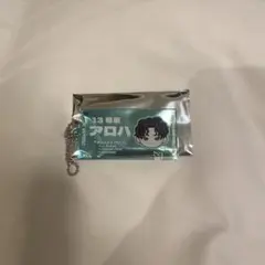 超特急　EVE ランダムチケットキーホルダー　アロハ