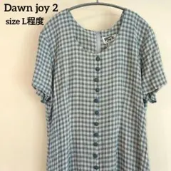 ドーン・ジョイ2 膝下 ロングワンピース USA製 チェック柄 ブルー L