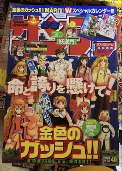 ⚠️5/24まで⚠️ 週刊少年サンデー特別編集 金色のガッシュ!!(カード