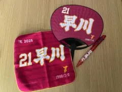 Item thumbnail for item 72420010-d285-4580-b483-cf404b7d7cf7