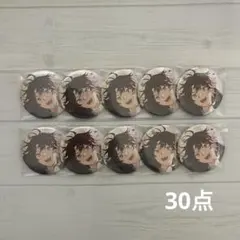 【立夏さま専用】にじさんじ 三枝明那 缶バッジ