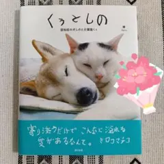 Item thumbnail for item 782f9b25-6090-4cdc-819f-1b1cab26566a