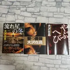 大沢在昌 小説3冊セット 流れ星の冬 撃つ薔薇 やぶへび