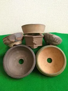 く*~様 昭和レトロ 小品盆栽鉢 陶春 常滑 豆鉢盆栽 松盆栽 陶器 落款ありのサムネイル