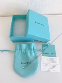 新品　Tiffany バイザヤード　ネックレスのサムネイル
