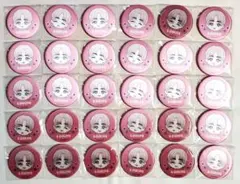 SEVENTEEN まじかる百貨店 缶バッジ キャラバッジ エスクプス 30点