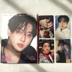 スキズ KARMA アコーディオン　チャンビン　accordion