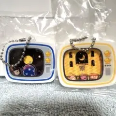 星のカービィ シャカシャカアクリルチャーム【デザインC、デザインD】セット