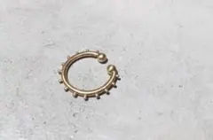 Item thumbnail for item 17ee1908-4a33-4846-b971-6f28d4bdeed0