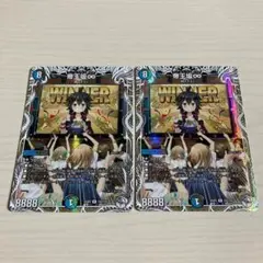 帝王坂むむ 帝王坂∞ キャラプレミアムトレジャー ドラゴン娘 2枚セット