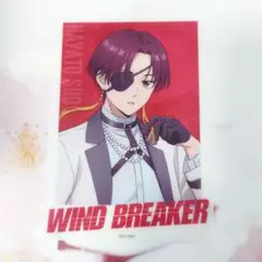 WIND BREAKER ウィンブレ 蘇枋隼飛 クールデニム
