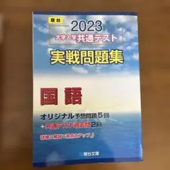 駿台　2023 大学入学共通テスト 国語問題集