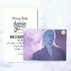 2026年最新】フィリックス サイン チェキの人気アイテム - メルカリ