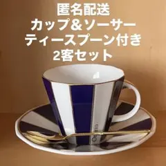 HOYA Orario カップ＆ソーサー ティースプーン 2客セット ペア