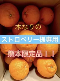 ストロベリー様専用です。他の方の落札はご遠慮下さい。のサムネイル