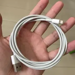 Lightningケーブル USB-A ホワイト 約1メートル