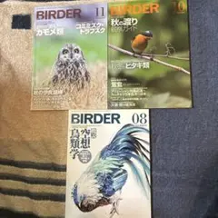 BlRDER 2021年 7冊セット BlRDER バーダー 2021年 7冊セット - メルカリ