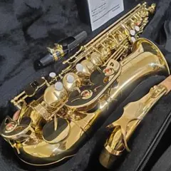 Maxtone マックストーン アルトサックス ゴールドハードケース付き