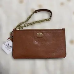 新品未使用タグ付き　コーチ　COACH フラグメントケース