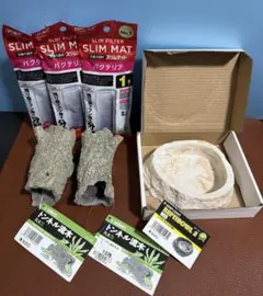 2025年最新】爬虫類飼育セットの人気アイテム - メルカリ